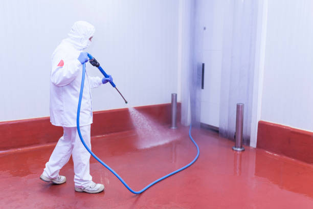 Best Warehouse Cleaning  in Whippany, NJ